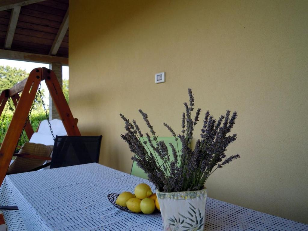Holiday House Emc Umag Zewnętrze zdjęcie